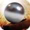 Gravity Drop Skill Ball - Action Packed Adventure Game