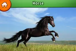 Game screenshot Learn about animals apk