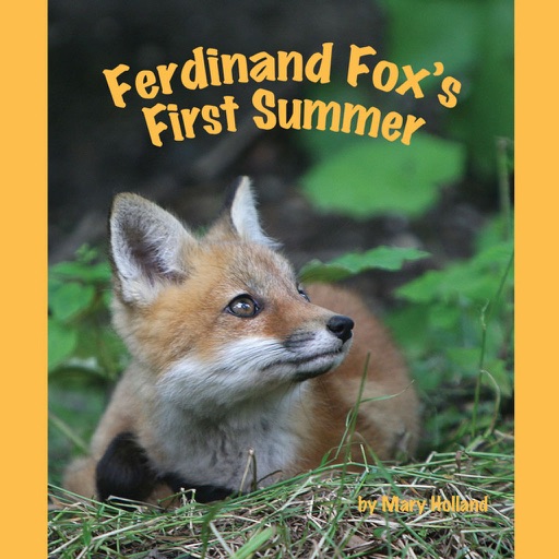 Ferdinand Fox's First Summer