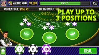 Blackjack King Screenshot 2