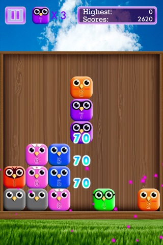 Kiwi Bird screenshot 3