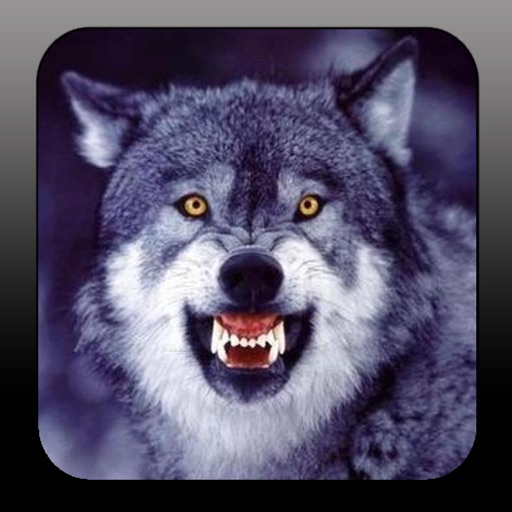 A Werewolf:  Attack of the Full Moon icon