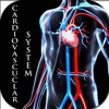 Anatomy of The Cardiovascular System