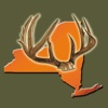 NY Deer Hunting Guide