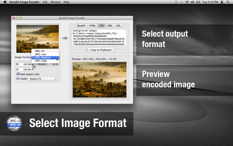 Screenshot #3 pour Base64 Image Encoder