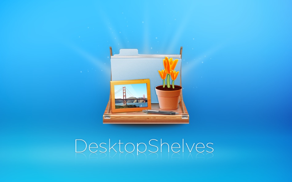#4. DesktopShelves (macOS) 由: Kitestack Software