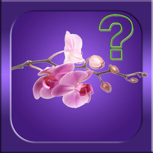 Guess it - Orchid Species iOS App