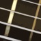 Hot on the heels of Fret Surfer Guitar, the new bass version of Fret Surfer gives bassists the same powerful learning tool to gain a mastery of the fretboard