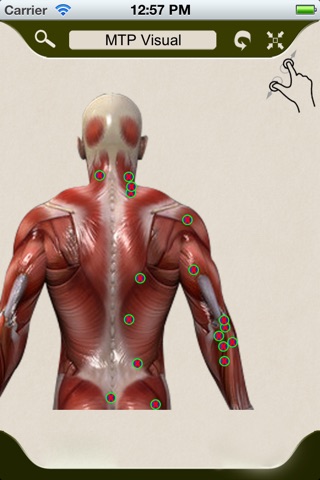 Trigger Points of Muscle screenshot 4