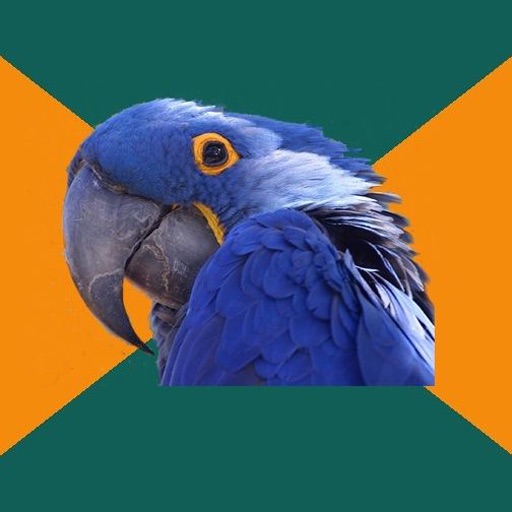 Paranoid Parrot icon