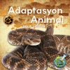 Adaptasyon animal