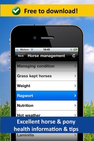 Save A Horse IHWT - Equine Education and Equestrian Help screenshot 3