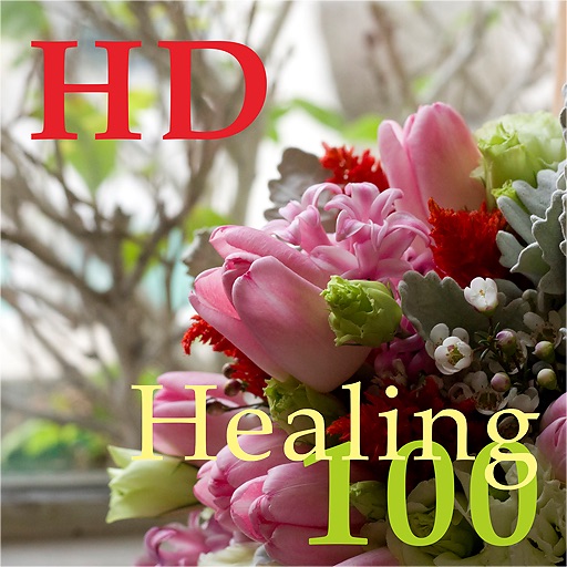 Healing 神必治癒100HD icon