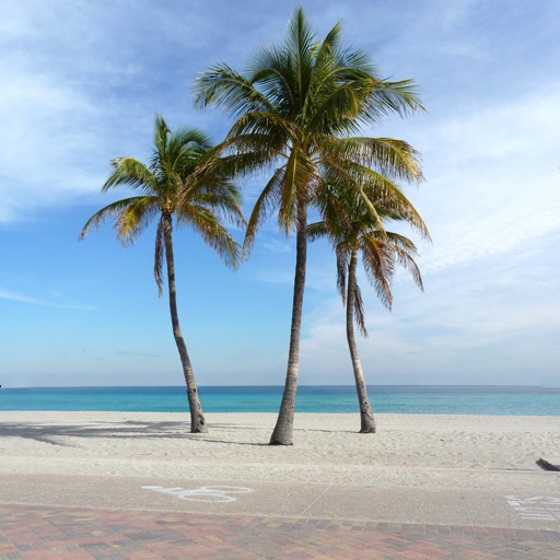 Hollywood Florida Travel Guide icon