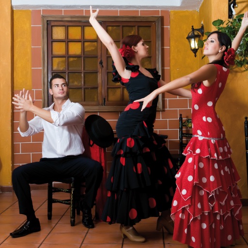 Flamenco Music Icon