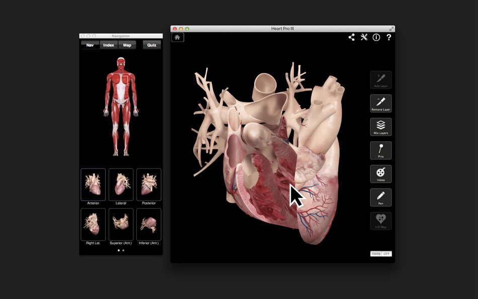 Heart Pro III - 3.8 - (macOS)