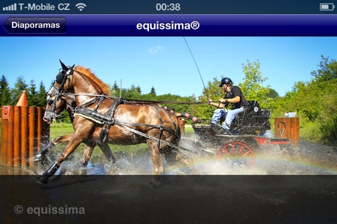 Equissima screenshot 4