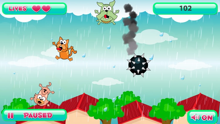 Raining Cats vs Dogs