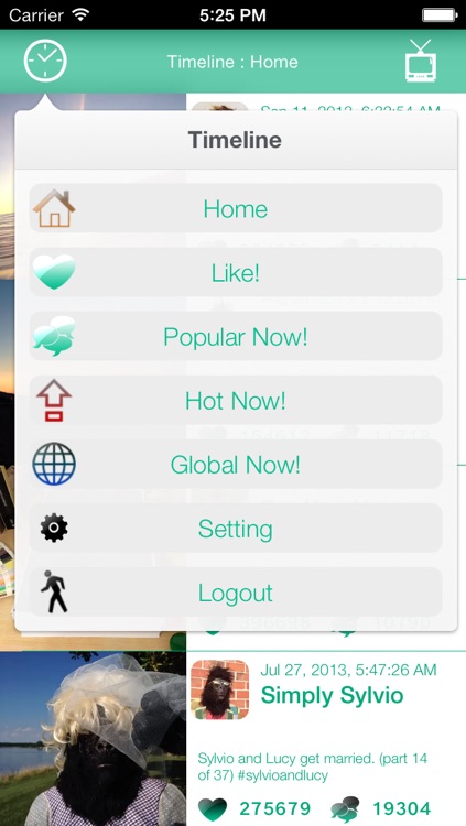ViCas - Smart and Dynamic Vine Viewer -