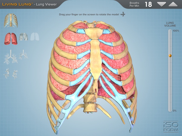 Living Lung™ - Lung Viewer