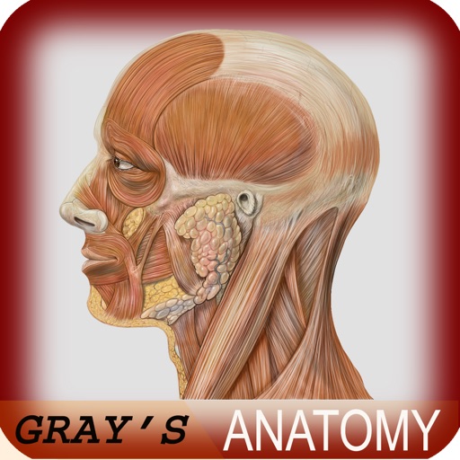 Atlas of Human Anatomy for iPad icon