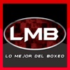 Lo Mejor del Boxeo