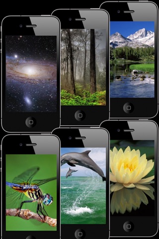 HD Wallpapers & Backgrounds for iPhone/iPod touch Pro screenshot 3