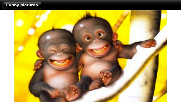 Love Pictures screenshot-4