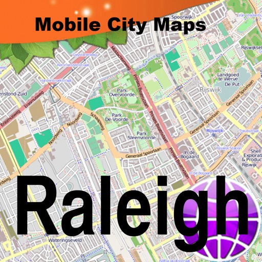Raleigh Street Map