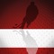 "The most complete app for Detroit Hockey Fans
