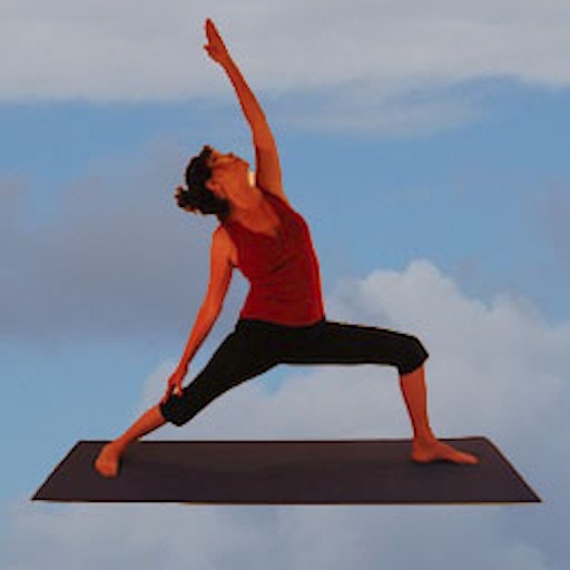 Yogini Lite icon