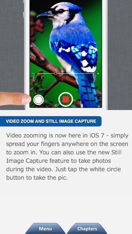 iPhone Tips & Tricks - The Essential Secrets App for iPhone!