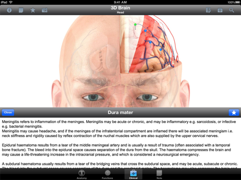 Pocket Brain－インタラクティブ神経解剖学のおすすめ画像2
