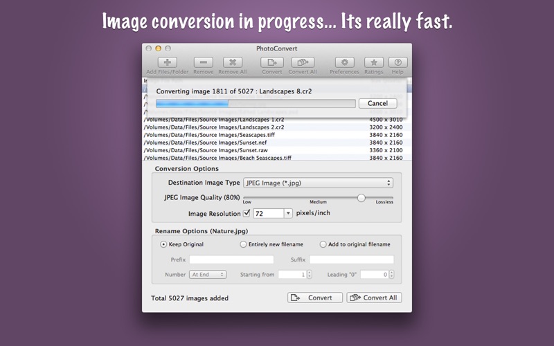 How to cancel & delete photoconvert 1