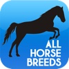 All Horse Breeds