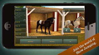 Jumping Horses Champions Screenshot 4