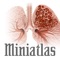 Would you like to enhance communication with your patients so they can better understand the anatomy, physiology or pathology of their respiratory condition