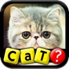 What's That Cat? - Reveal And Guess The Breed Challenge