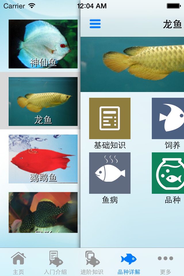 观赏鱼大全 screenshot 3