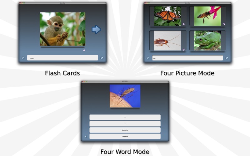 NounStar German Language Study thumbnail 2