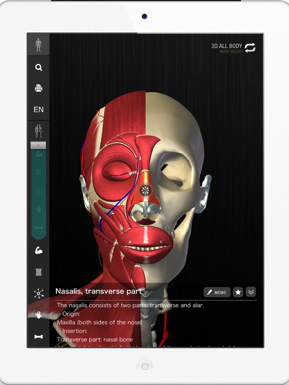 teamLabBody -3D Motion Human Anatomy Lite (Head and Neck)-