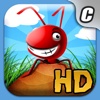 Pocket Ants HD