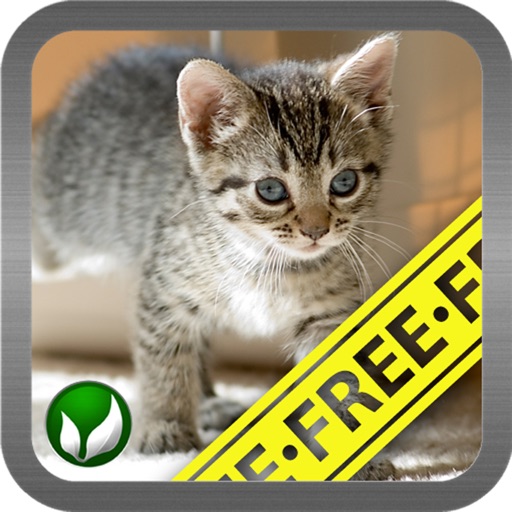 Cat ■ mini-games (FREE) icon