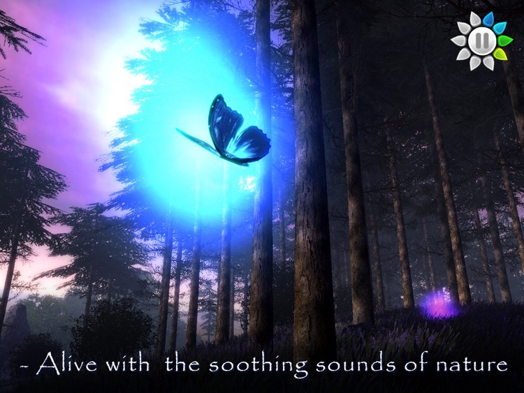 Virtual Nature Treks: Relax screenshot-3