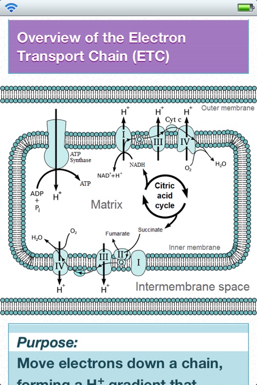 NutriBiochem screenshot-4