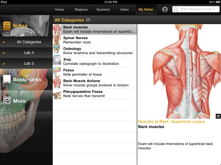 Netter’s Anatomy Atlas Free