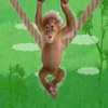 Monkey Shoots - iPhoneアプリ