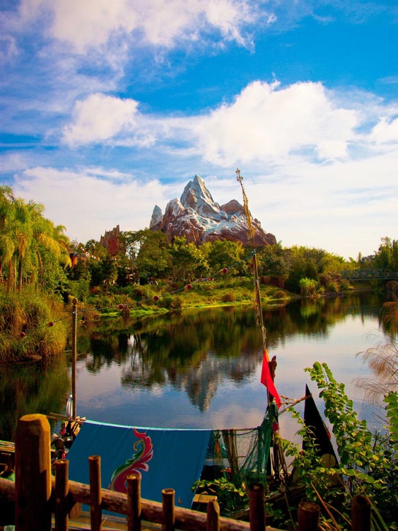 Animal Kingdom Wallpapers from Disney Photography Blog screenshot-3