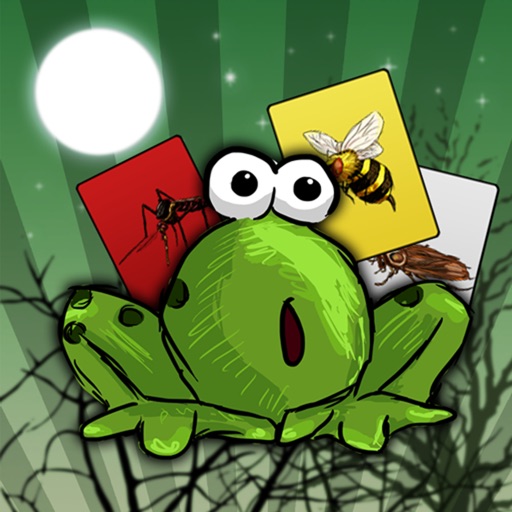 FrogJourney icon