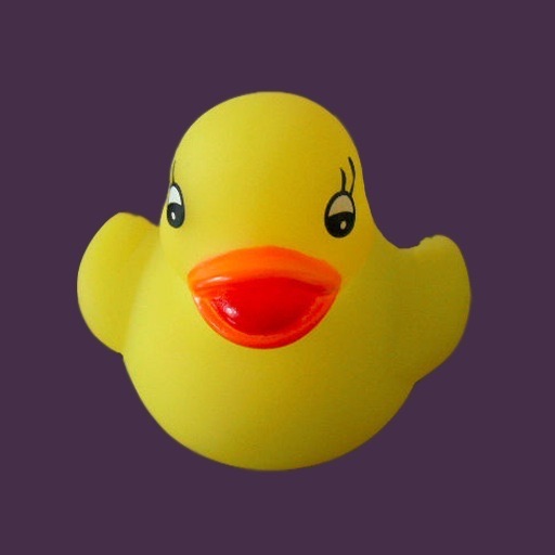 Duck Jump icon